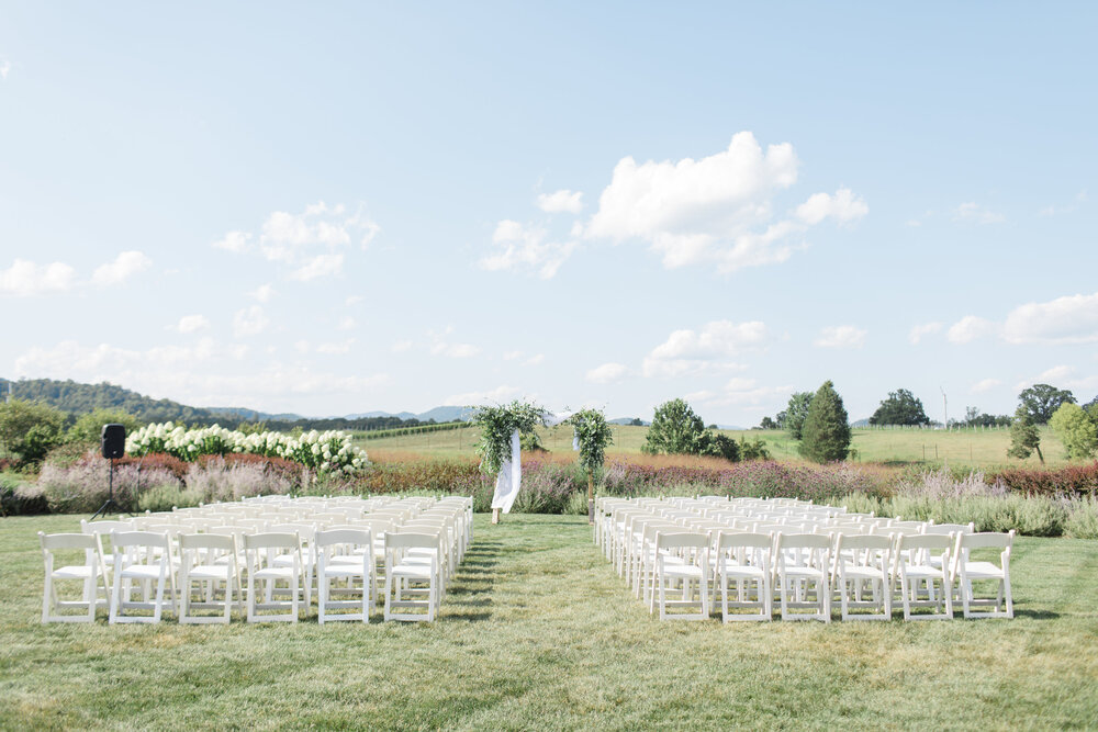 Evan Kasey Early Mountain Wedding-Ceremony-0010.jpg