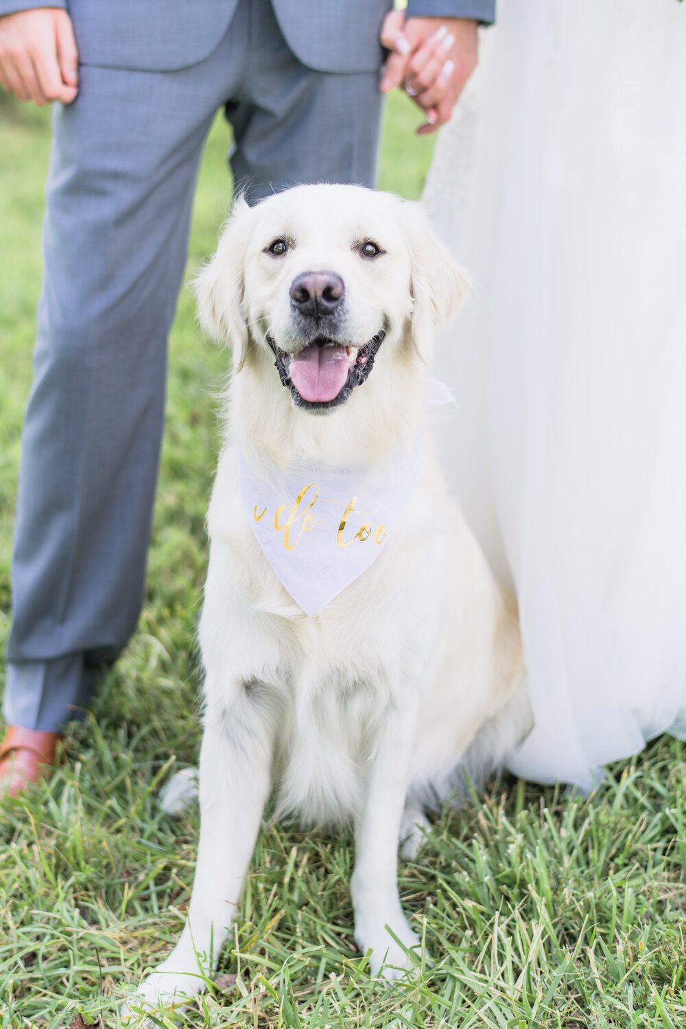 keith-lauren-glass-hill-venue-lynchburg-virginia-wedding-photographer-46.jpg