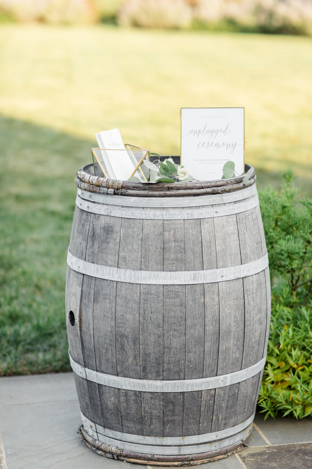 Evan Kasey Early Mountain Wedding-Ceremony-0014.jpg