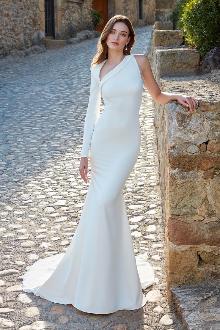 Photo of a Model wearing a Kelly Faetanini Gown