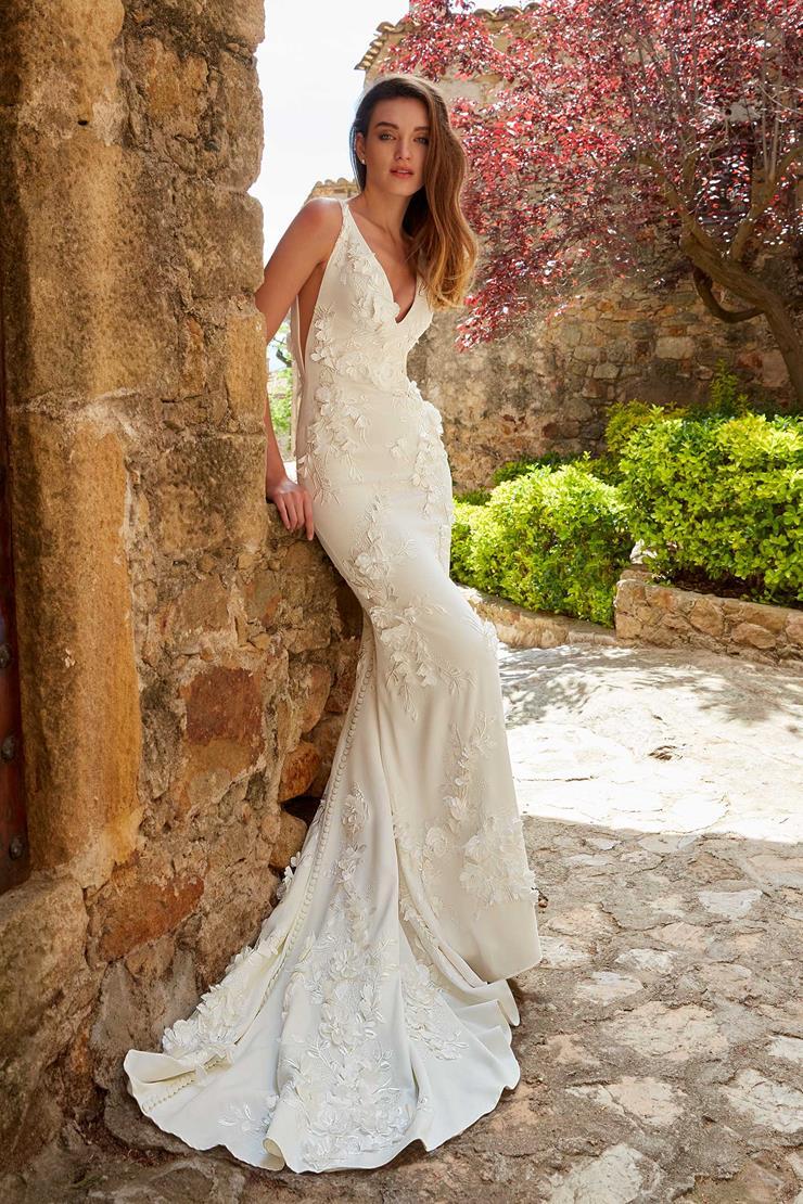 Photo of a Model wearing a Kelly Faetanini Gown